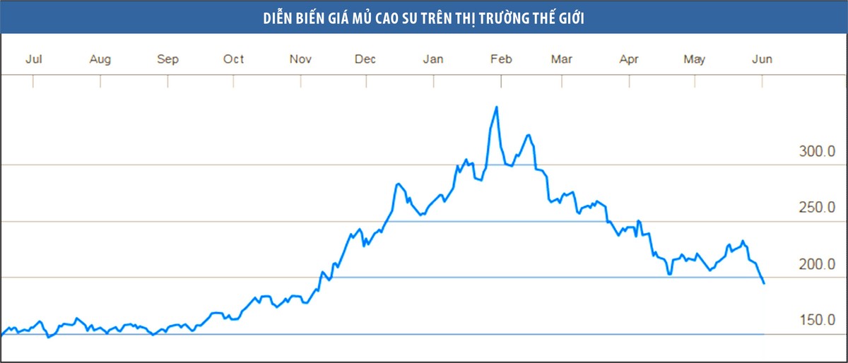 Cú sốc giá và nỗi lo Kl991.com World Cup 2026 Chính Thức cao su quay lại thời gian khó ảnh 1