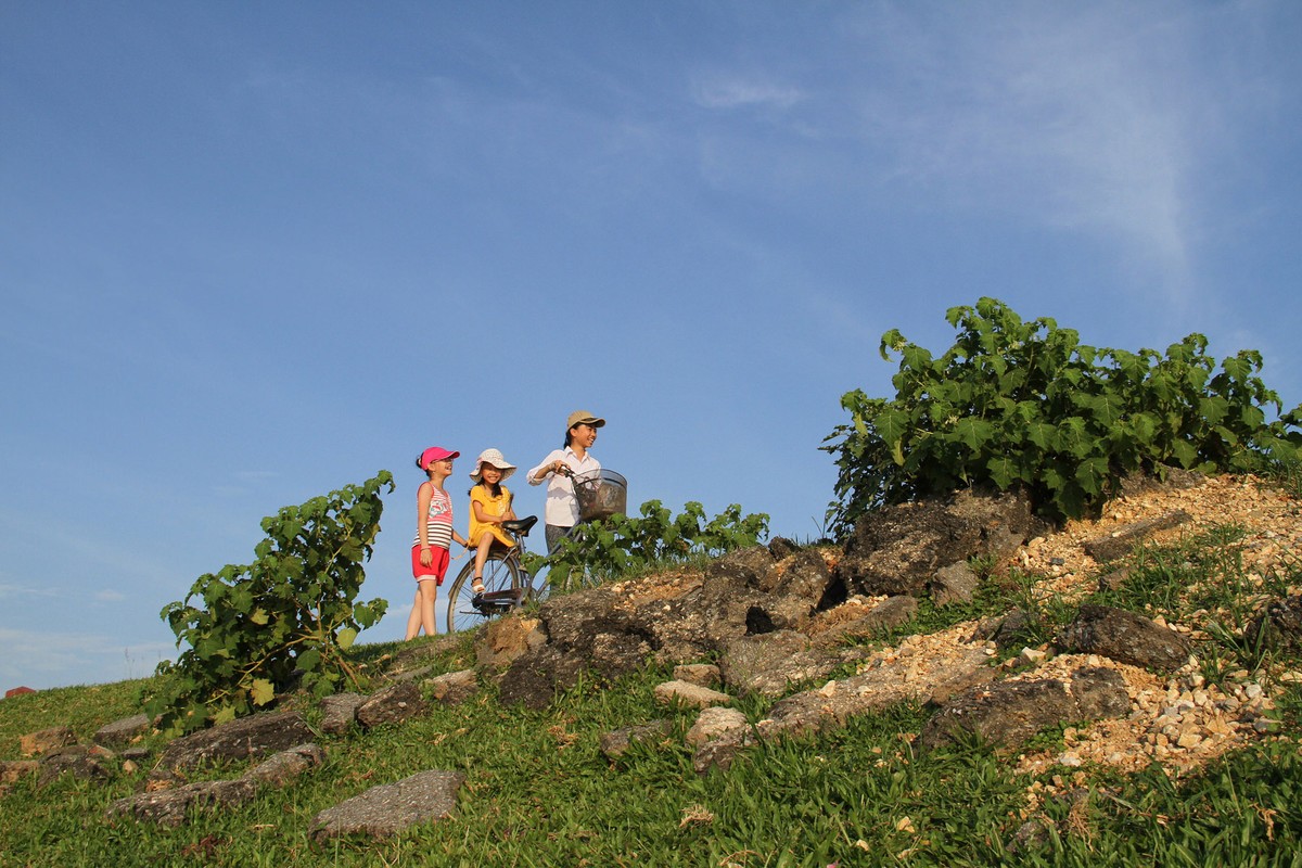 Trưa quê ảnh 6