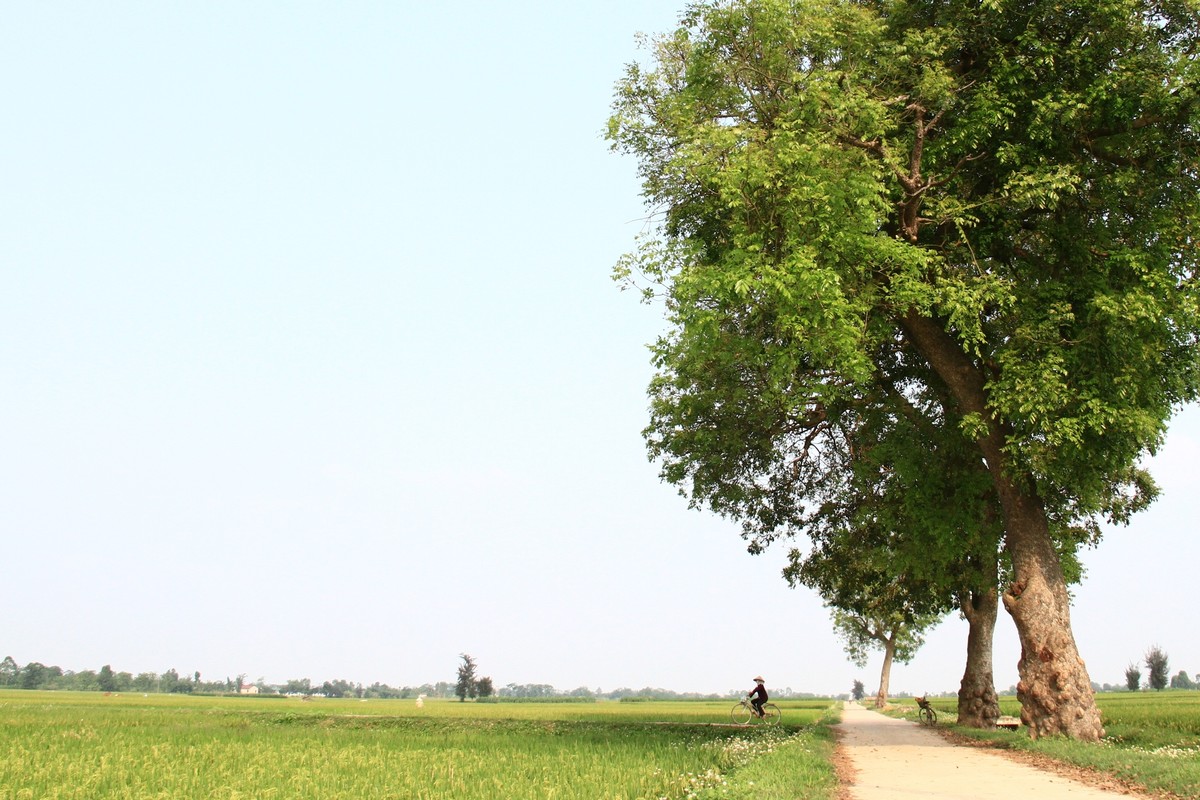 Trưa quê ảnh 10
