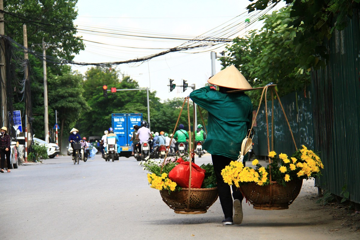"Mùa Thu vào hoa Cúc..." (Thơ tình cuối mùa Thu - Xuân Quỳnh).