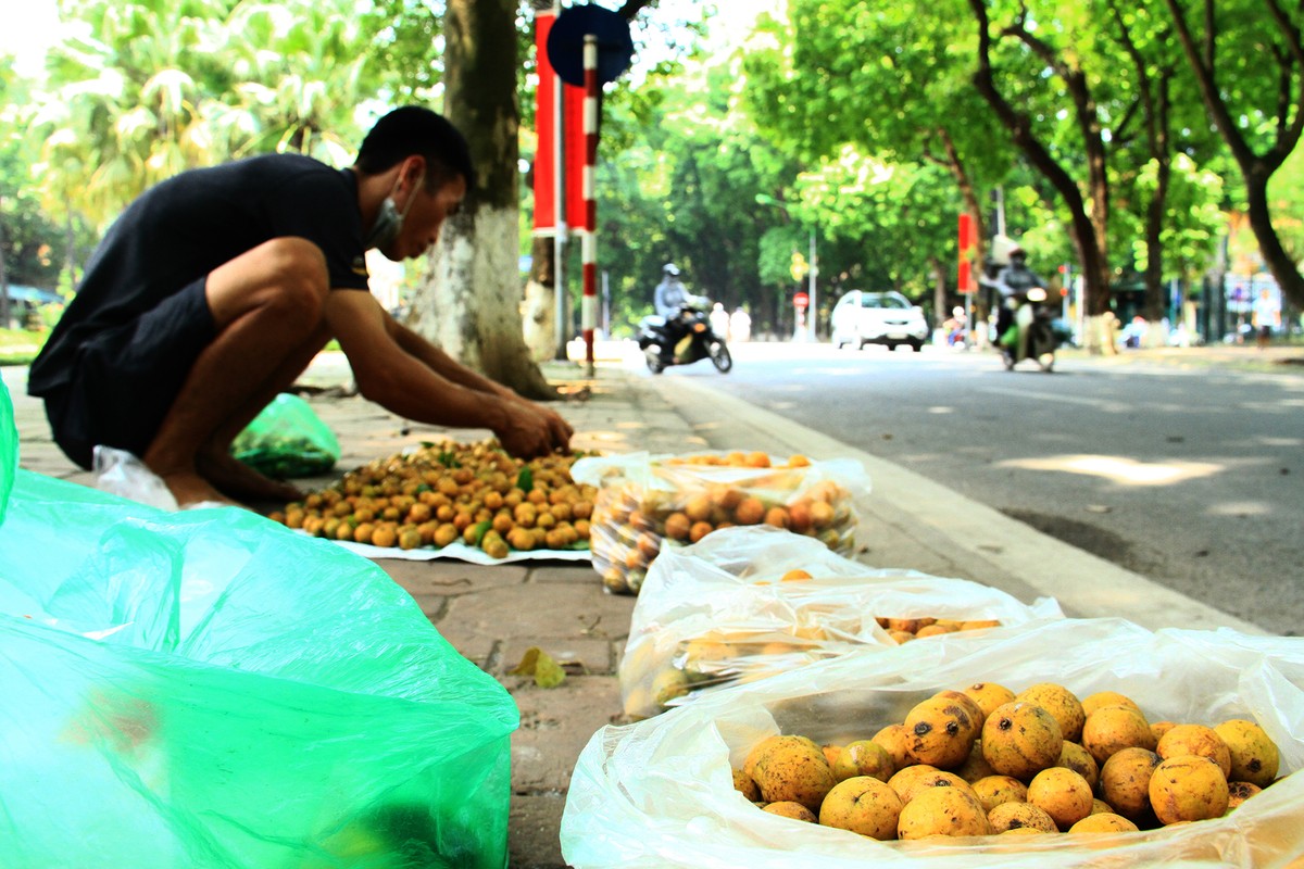 "Chợ sấu" trên phố Phan Đình Phùng.