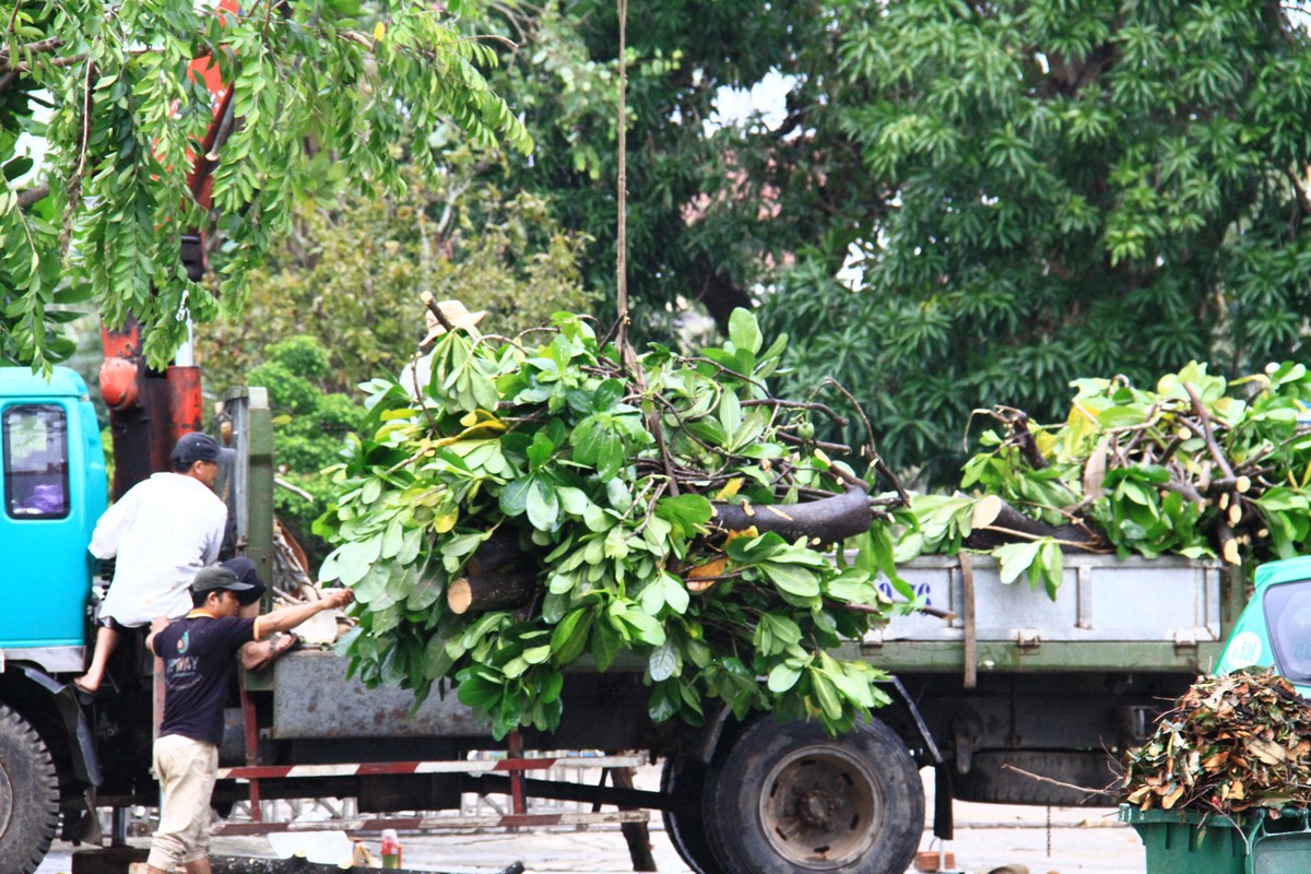 Công tác dọn dẹp hậu quả của bão đang được đẩy nhanh.
