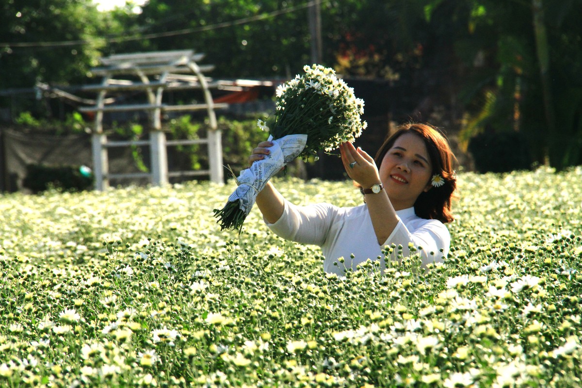 Áo dài và Họa mi.