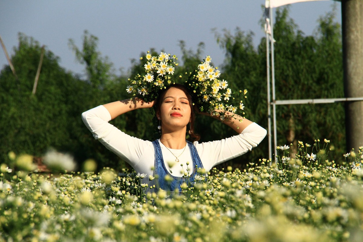 Phiêu linh.