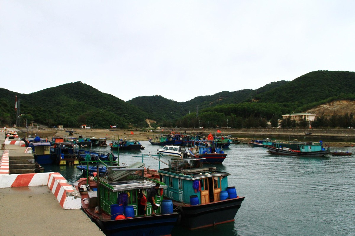 Chạm tới đảo Trần. Ảnh: Thành Nguyễn.