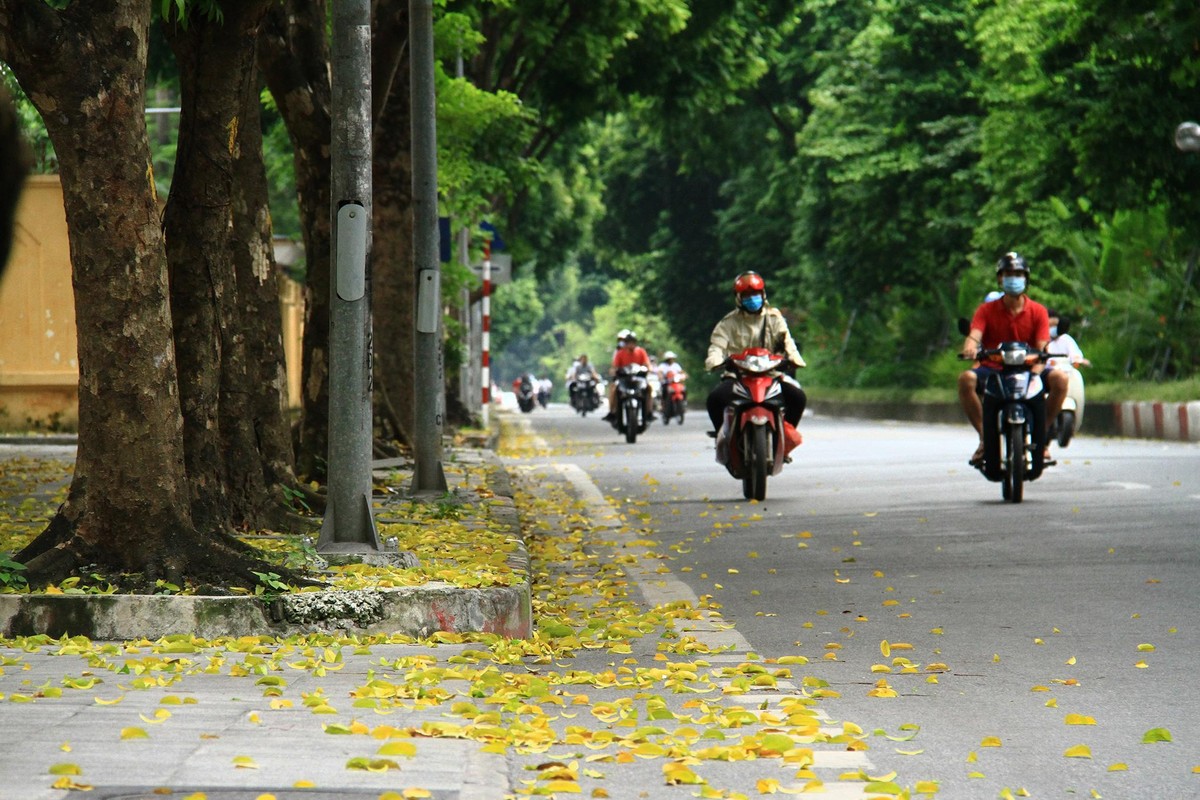 Thu đến, phố phường Hà Nội trải đầy lá vàng. Ảnh: Thành Nguyễn.