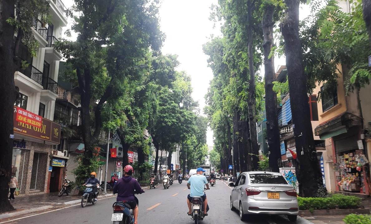 Nỗi nhớ Sài Gòn đôi khi lại bắt nguồn từ... Hà Nội. Ảnh: Thành Nguyễn.