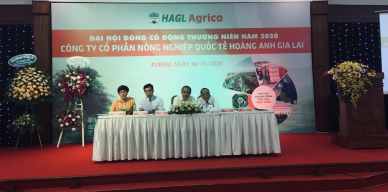 ĐHĐCĐ HAGL Agrico (HNG): Dòng tiền đã thông, Link Vào Nhà Cái KL99 COM Tặng +199k đã cho vay trở lại ảnh 1
