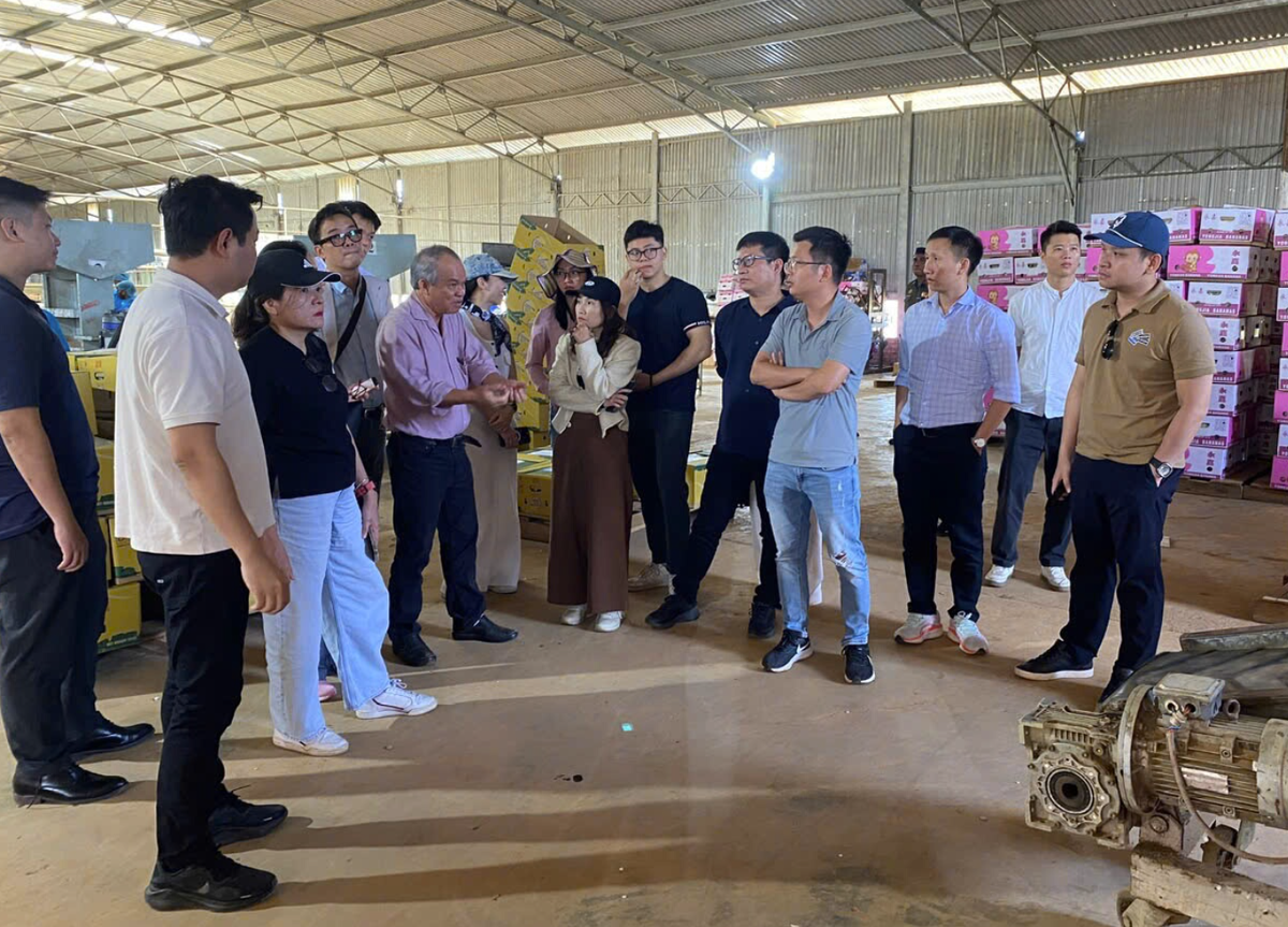Nhà Kl99ok phiên bản mới thăm quan xưởng đóng gói chuối của HAG
