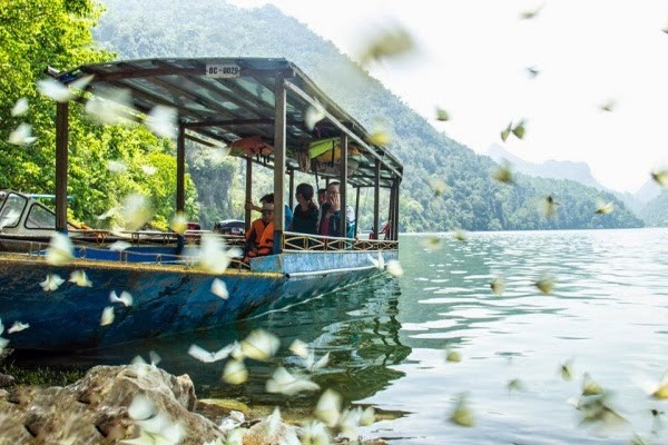 Ba Bể mùa bướm bay ảnh 2