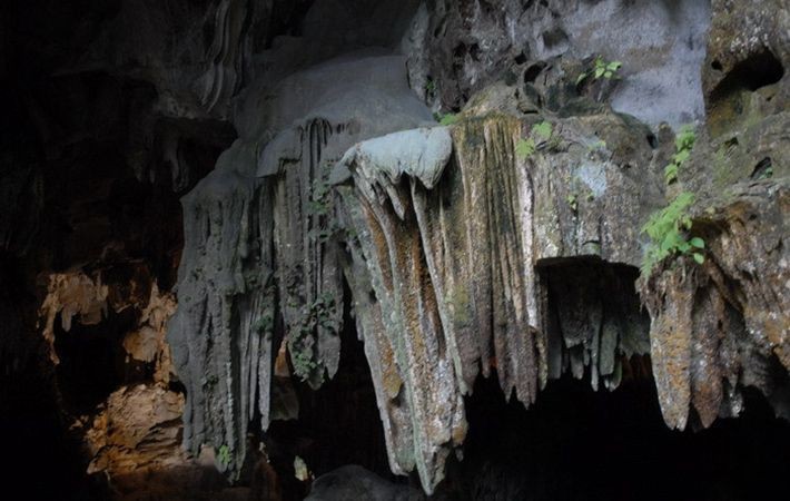 Kinh nghiệm du lịch Quảng Bình trong 3 ngày ảnh 2