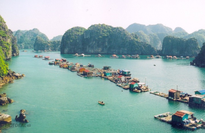 Đảo Cát Bà: Nơi rừng già và biển xanh gặp gỡ ảnh 1