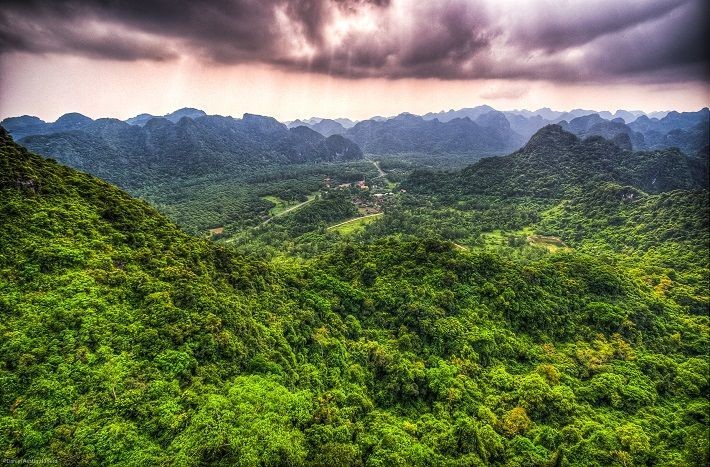 Đảo Cát Bà: Nơi rừng già và biển xanh gặp gỡ ảnh 7