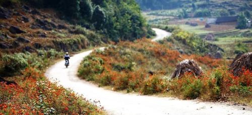 Kinh nghiệm phượt Hà Giang 2 ngày 2 đêm ảnh 3