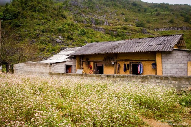 Những điểm đến đẹp nao lòng cho tháng 10 ảnh 2 Những điểm đến đẹp nao lòng cho tháng 10 ảnh 2
