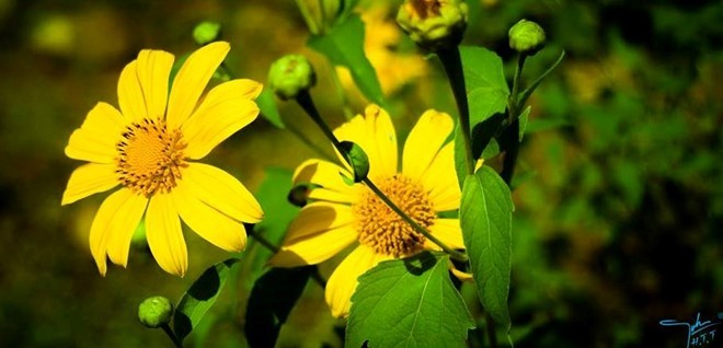 Những điểm đến đẹp nao lòng cho tháng 10 ảnh 7 Những điểm đến đẹp nao lòng cho tháng 10 ảnh 7