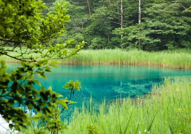 Lặng ngắm vẻ đẹp bình yên bất tận của hồ ngũ sắc Goshiki-numa ảnh 1