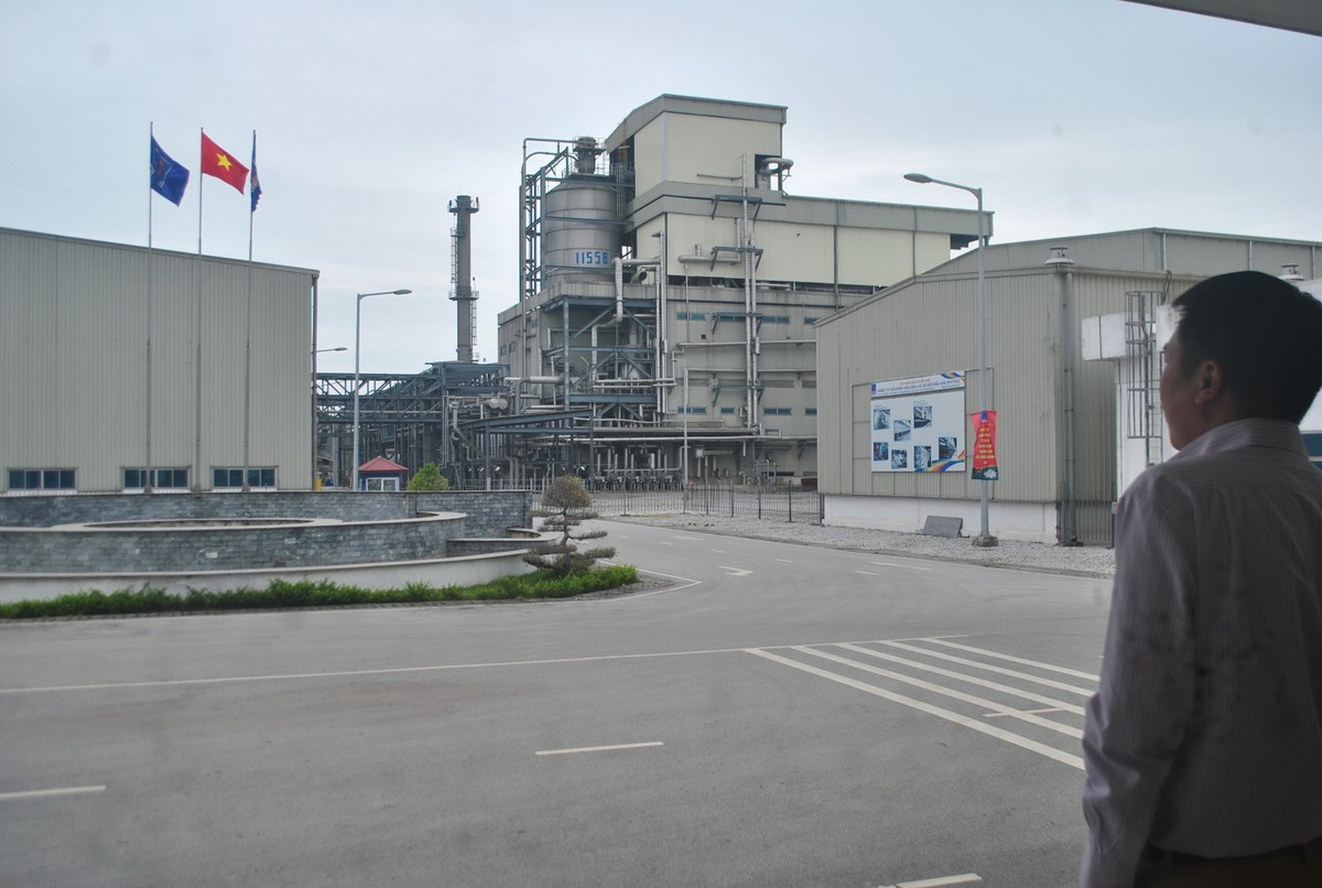 Con tàu đắm PvTex thời hậu Vũ Đình Duy ảnh 1