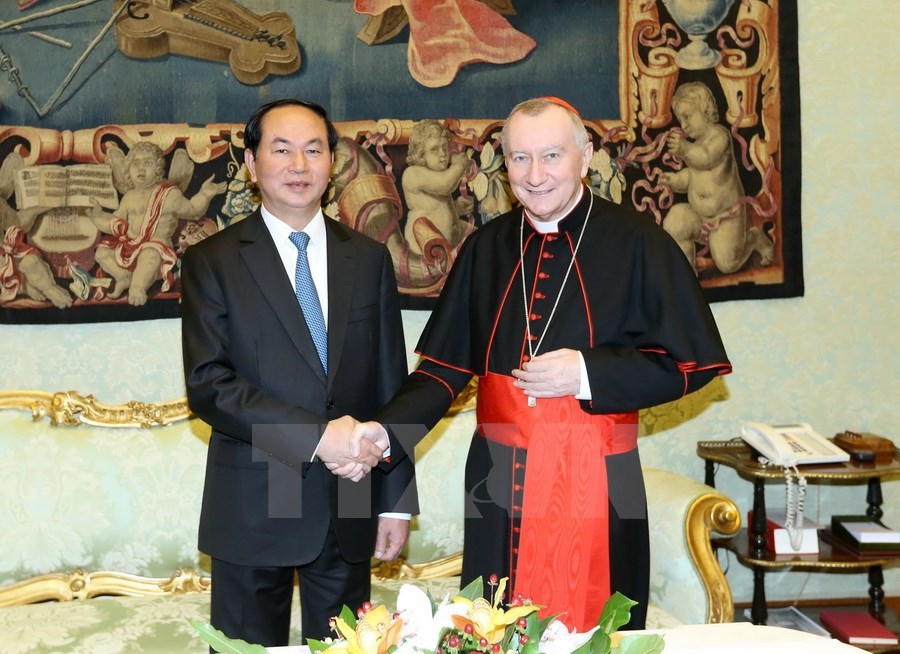 Chủ tịch nước Trần Đại Quang tiếp kiến Giáo hoàng Francis ảnh 5