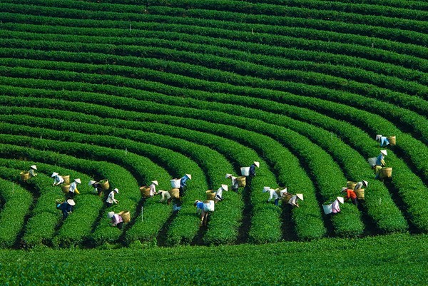 Top 5 địa điểm lý tưởng cho giới trẻ đi chơi Tết Dương lịch 2017 ảnh 4