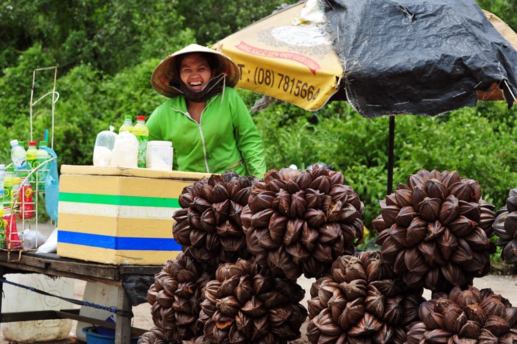 Lạ lùng trái dừa nước miền Tây ảnh 7
