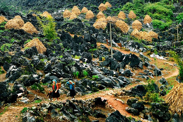 Những cao nguyên đẹp mê hồn ở Việt Nam ảnh 1