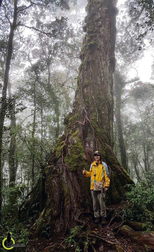 Trekking trên "nóc nhà Tây Nguyên" Bidoup ảnh 9