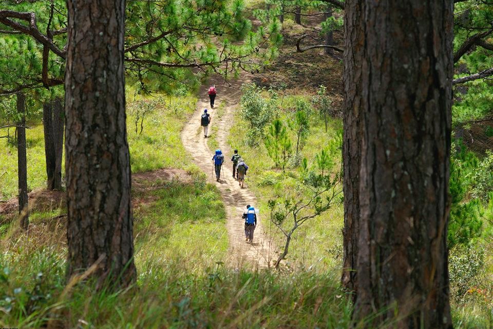 Trekking trên "nóc nhà Tây Nguyên" Bidoup ảnh 2