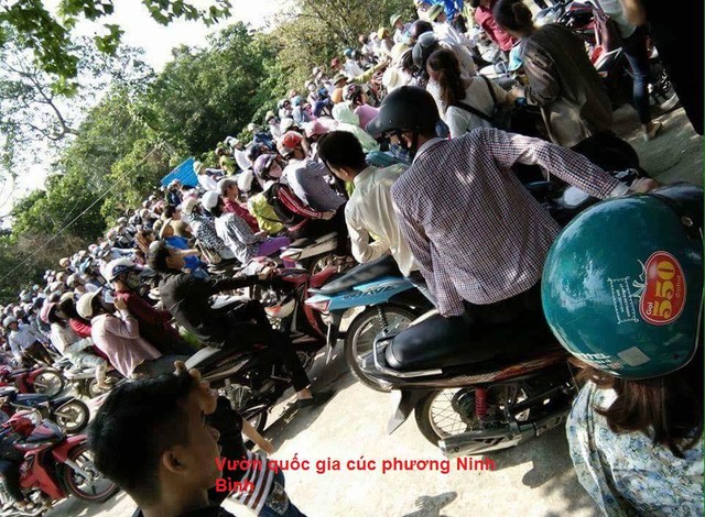 Mạng Trang Chủ KL99Com Số 1 Link Đăng Ký KL999 “nổ tung” với hình ảnh kín đặc người tại các khu du lịch trong dịp nghỉ lễ ảnh 5