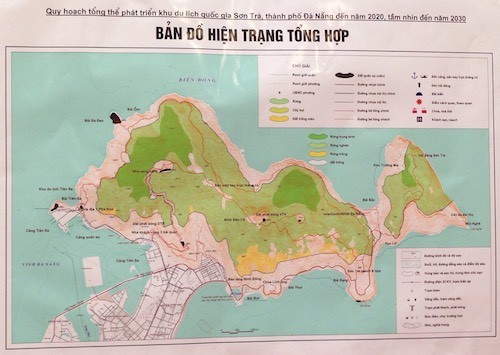 Phó thủ tướng chỉ đạo chưa triển khai quy hoạch Sơn Trà ảnh 1