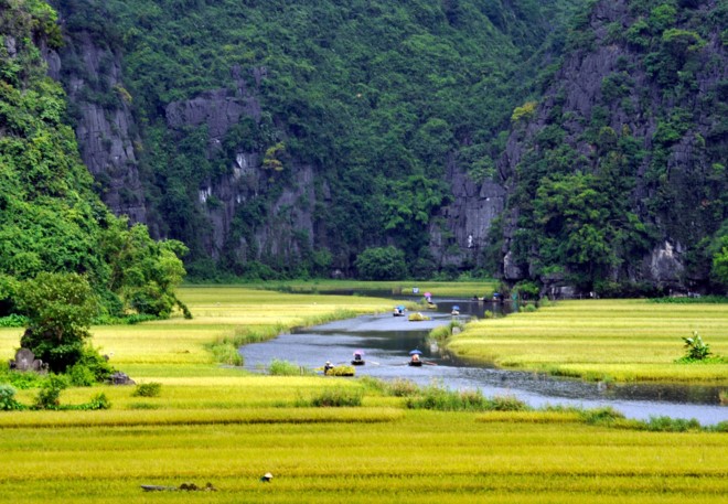 Lịch trình trốn nóng cuối tuần với Tam Cốc mùa lúa chín trong 24 giờ ảnh 1