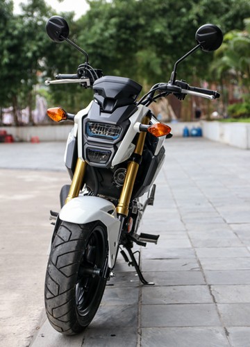 Honda MSX125 - xế 'cưng' cho giới trẻ Việt ảnh 2