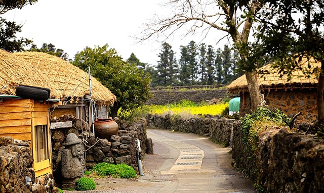 Đảo Jeju - Điểm đến của tình yêu ảnh 4