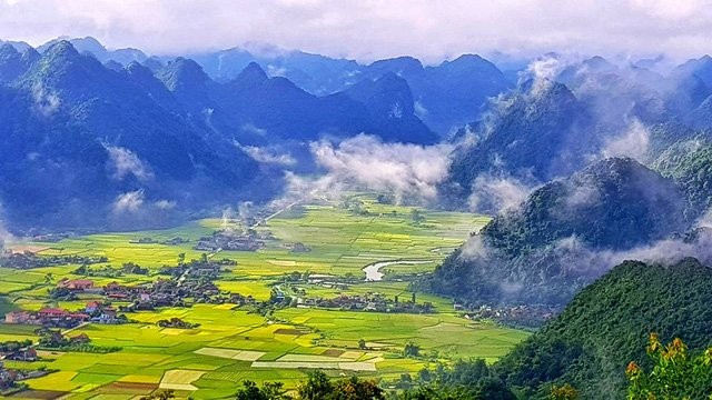 Đi ngay kẻo lỡ mùa lúa chín đẹp lung linh ở Bắc Sơn ảnh 3
