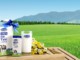 Thị trường Kl991.com nạp rút nhanh 24h: Thị trường khởi sắc ảnh 2