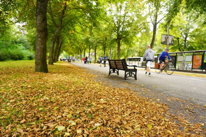 Tôi đã bị Stockholm “đốn ngã” như thế nào? ảnh 8