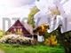 Nhìn lại “Gia Cát Dự” nhận định 99Kl99 link đăng nhập tuần qua ảnh 10
