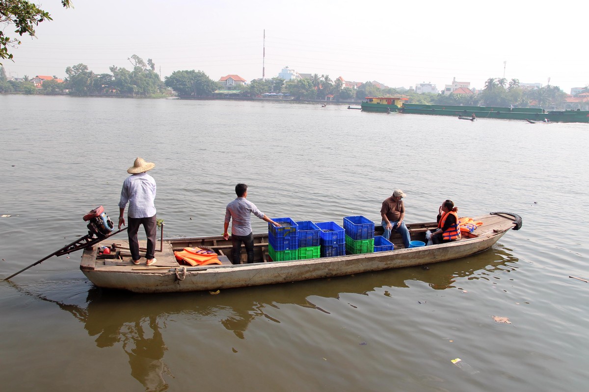 TP.HCM: Người dân tấp nập thả cá chép tiễn ông Công, ông Táo về trời ảnh 11 TP.HCM: Người dân tấp nập thả cá chép tiễn ông Công, ông Táo về trời ảnh 11