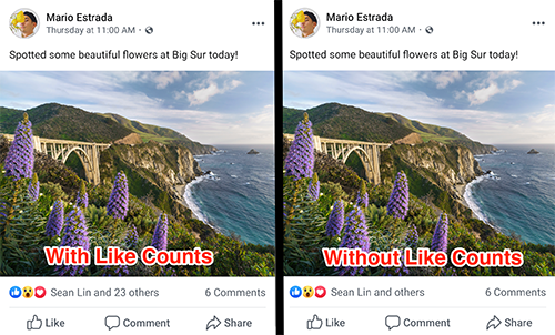 Facebook bắt đầu thử nghiệm ẩn số lượt Like ảnh 1