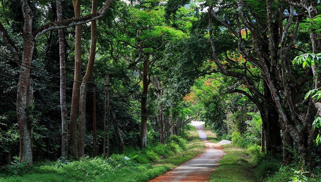 Địa điểm đi chơi Tết dương lịch quanh Hà Nội trong 1 ngày ảnh 5