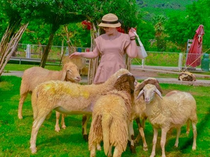 Thảo nguyên cỏ xanh phù hợp cho những buổi picnic.