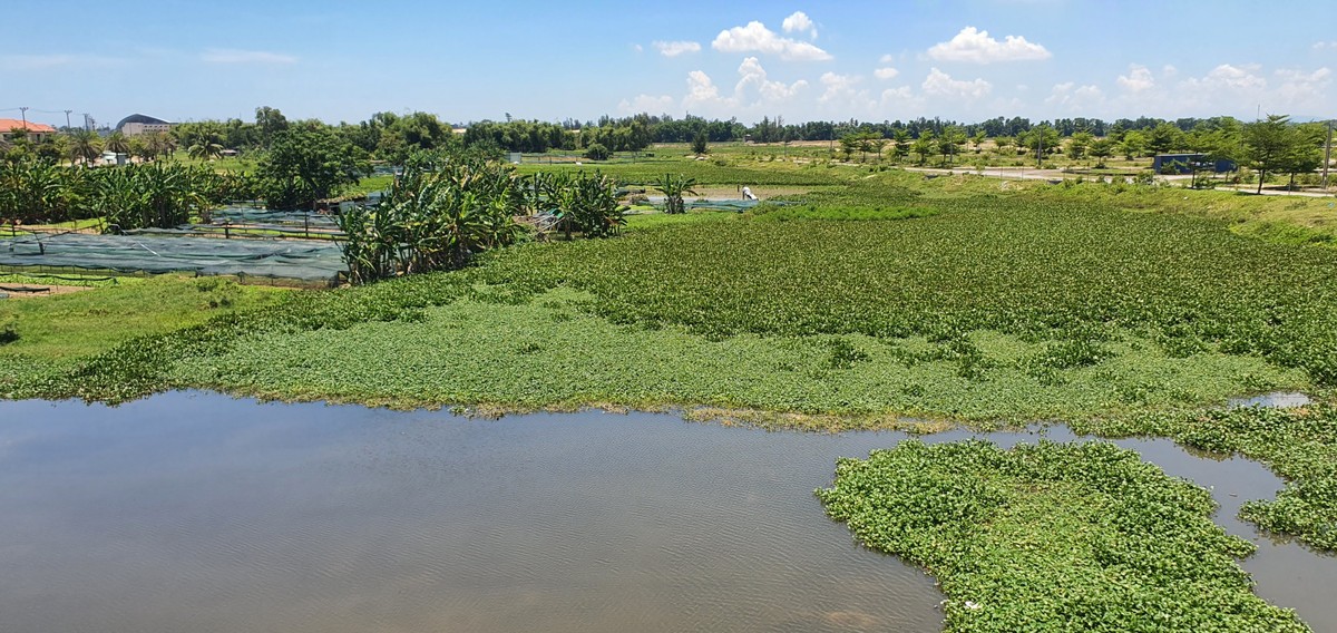 Dự án nạo vét sông Cổ Cò đang vướng giải phóng mặt bằng.