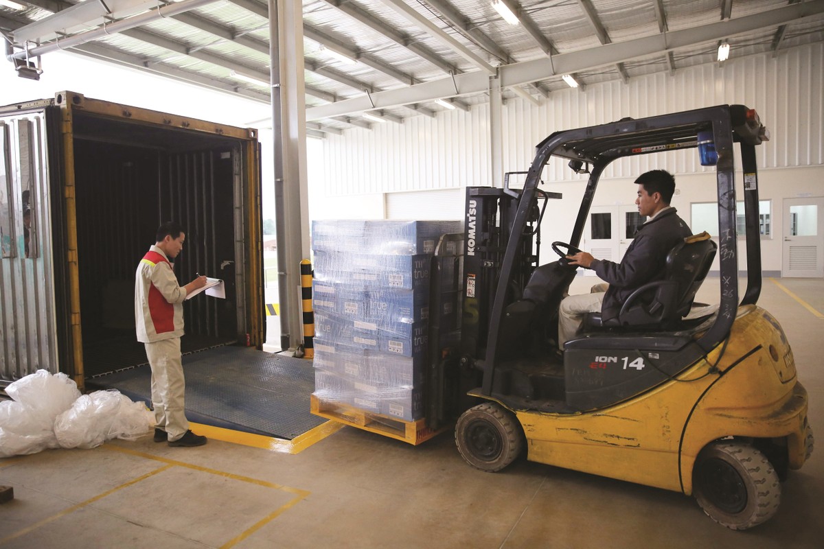 Ngành logistics trong nước vẫn ở mức sơ khai, chủ yếu cung cấp nhà xưởng, kho bãi.