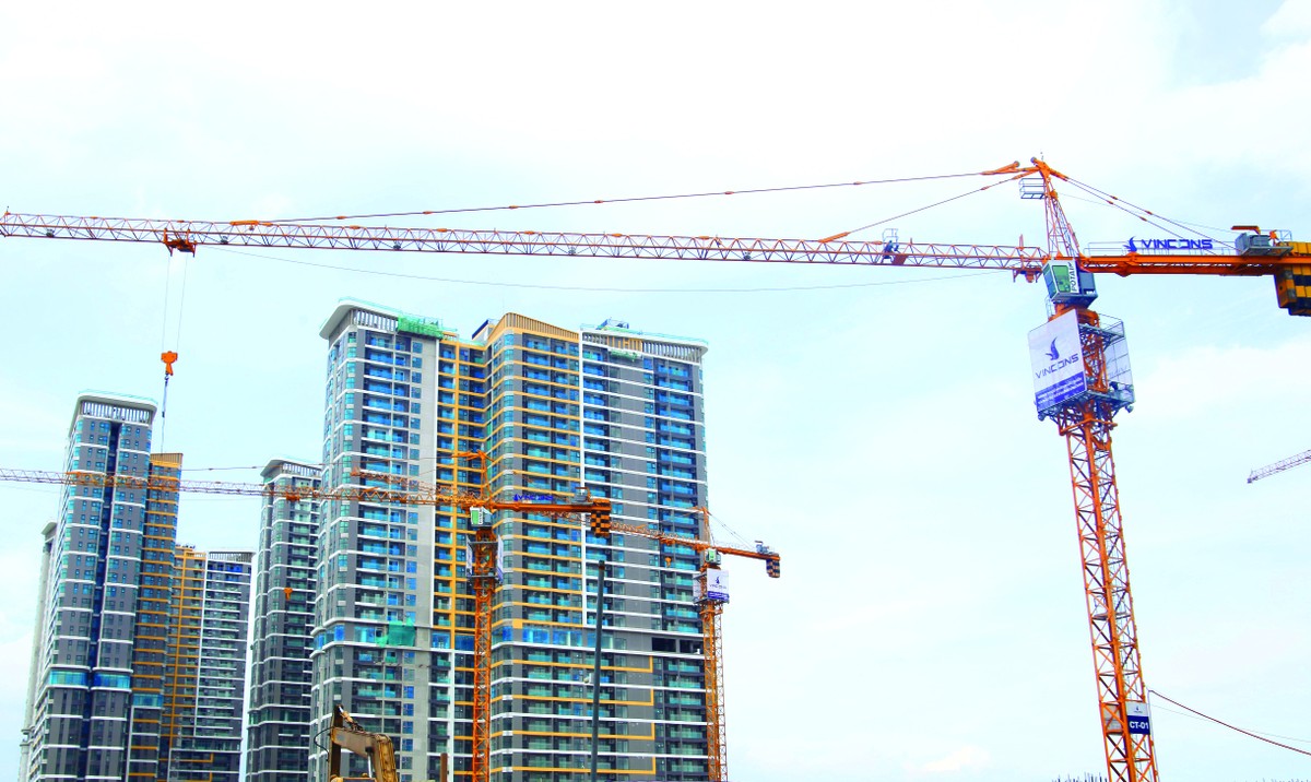 Nguồn cung căn hộ sẽ được cải thiện trong năm 2025.