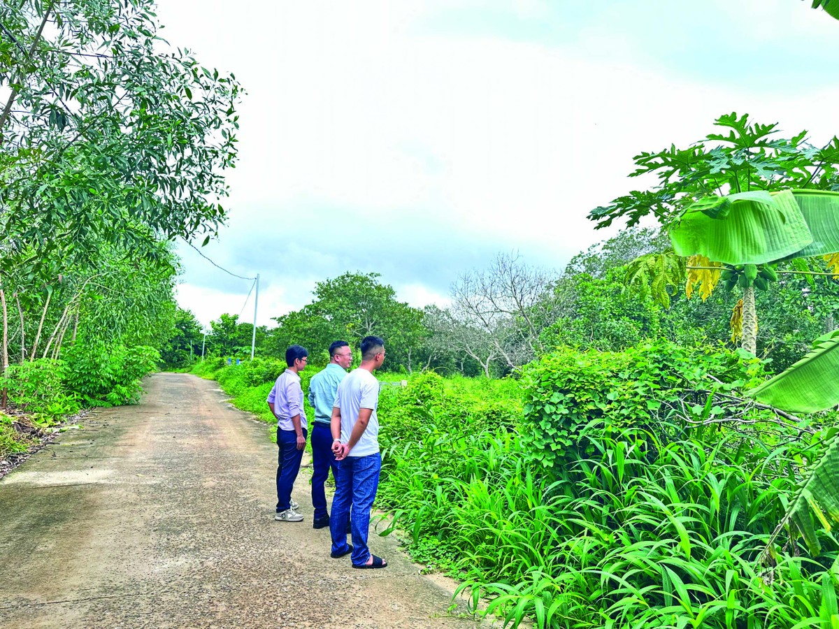 Nhà Kl99ok phiên bản mới đi săn đất nền vùng ven, nơi có dự án Kl99kl ưu đãi độc quyền hay các đô thị lớn. Ảnh: Việt Dũng.
