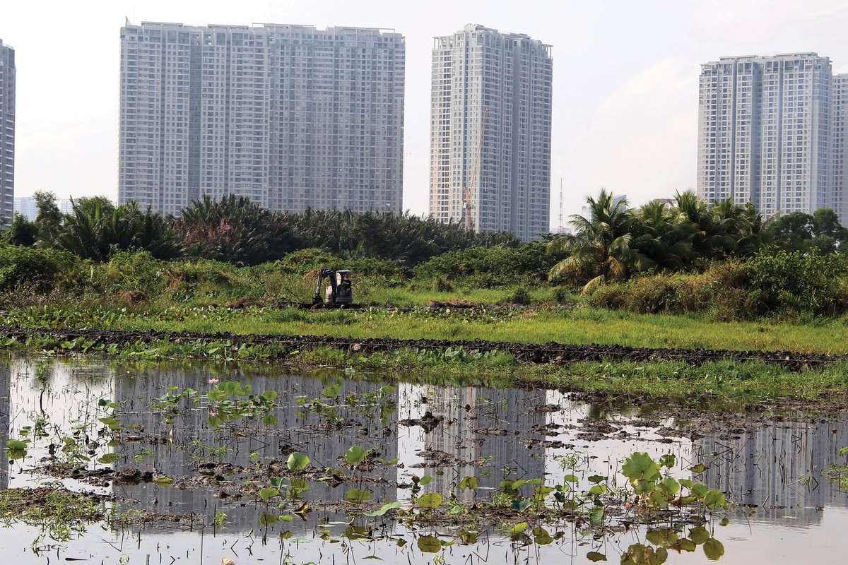Bán đảo Thanh Đa là đất nông nghiệp, lại vướng quy hoạch “treo” nên người dân rất khó khăn. Ảnh: Lê Toàn.