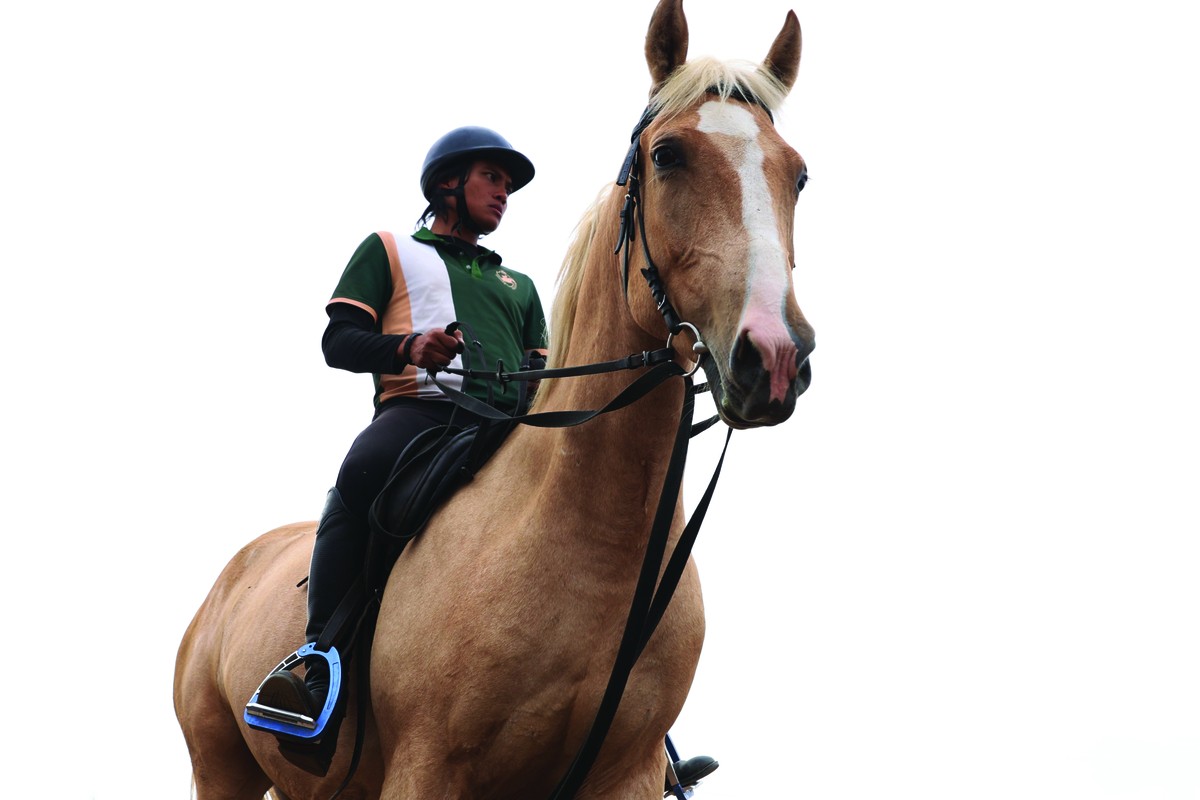 Giống ngựa Akhal Teke được xem là loài ngựa đẹp nhất thế giới, nổi bật với bộ lông óng ánh đặc trưng và mồ hôi có sắc đỏ như máu, biểu trưng cho sức mạnh và sự dẻo dai phi thường. Giá trị mỗi cá thể Akhal Teke có thể lên tới hàng triệu USD.