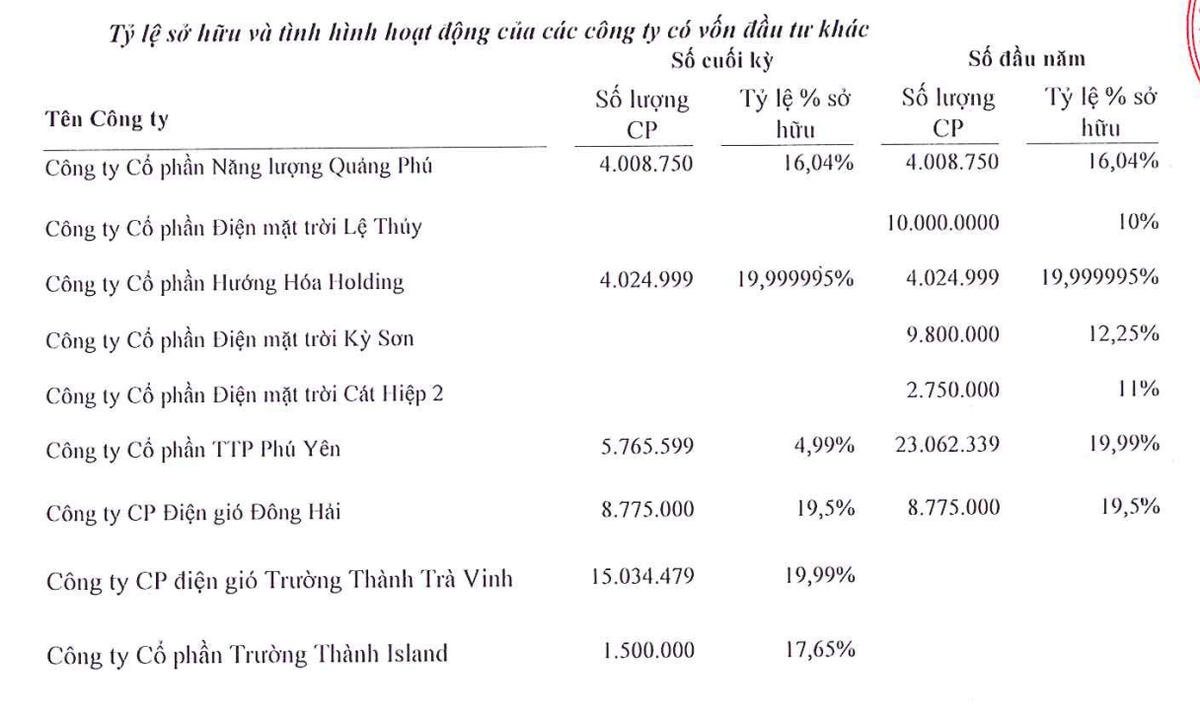 Tình hình các khoản Kl99ok phiên bản mới góp vốn của TEG tính tới cuối quý II/2024