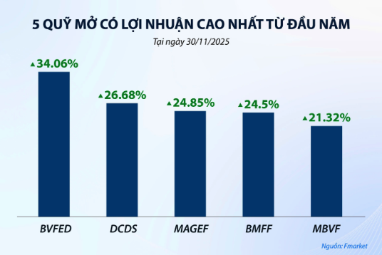 Chiến lược năng động giúp nhiều quỹ đạt hiệu suất tốt từ đầu năm. Ảnh: Fmarket
