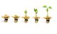 Phiên giao dịch sáng 30/11: Tạm thời yên tâm ảnh 1